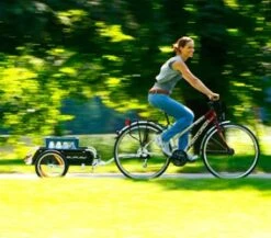 Burley Flatbed Transportanhänger -Fahrradteile Serien Geschäft 2990 th flatbed path
