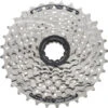 Shimano Kassette CS-HG41 8-fach