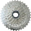 Shimano Kassette CS-HG50-10