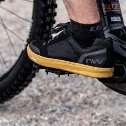 Tatze, LINK TI Flatpedal Mit Titanachse -Fahrradteile Serien Geschäft link action 4