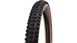 Schwalbe Big Betty Evolution Line